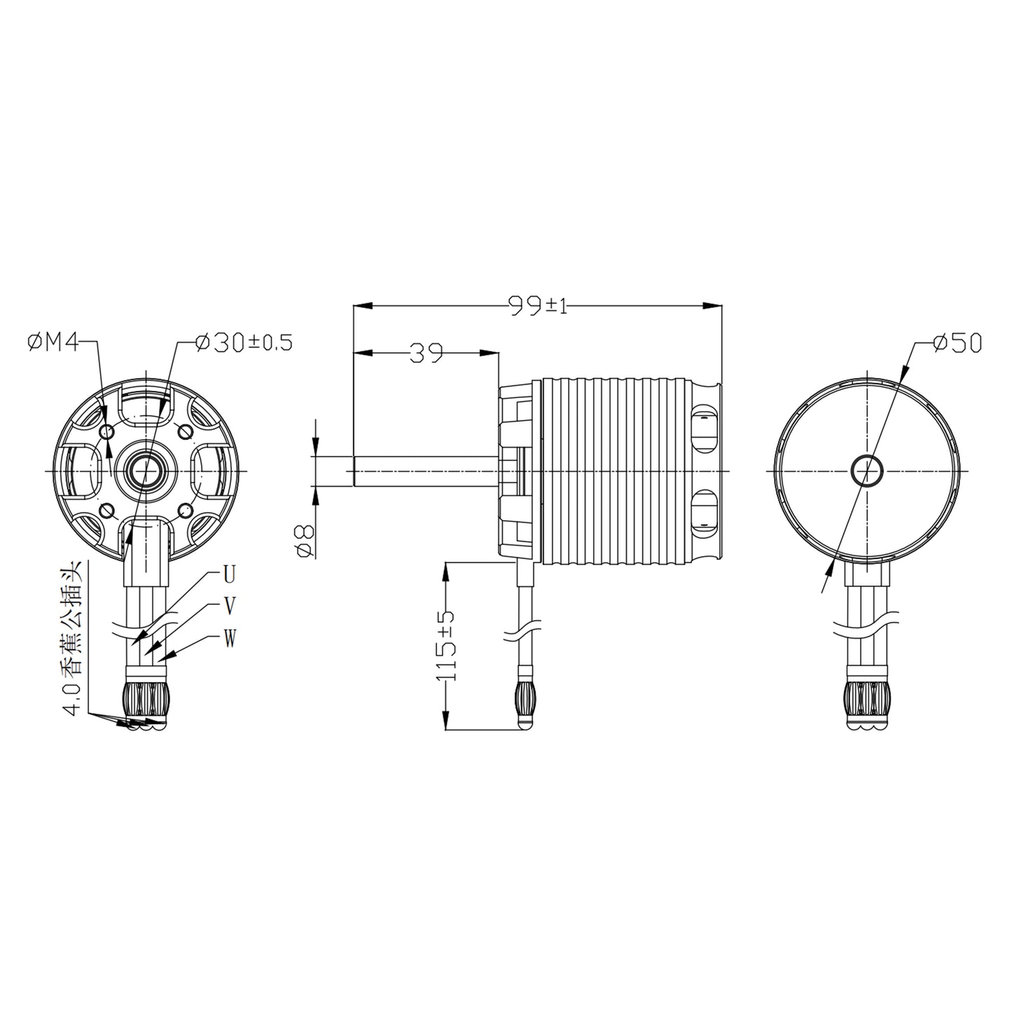 The Elecswoop 5060 motor